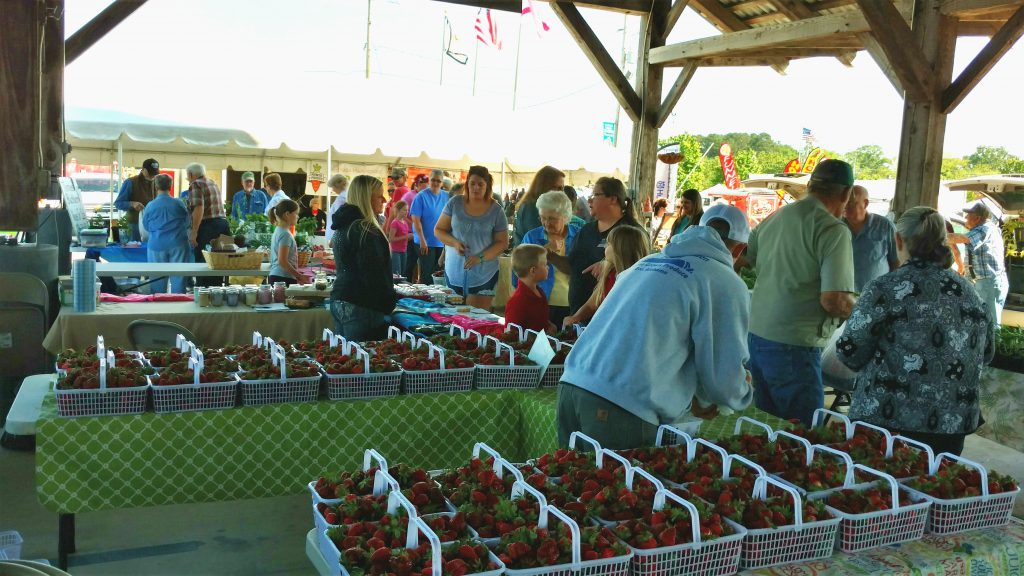 Strawberry Festival 2016 sunshine, family time and, oh yeah