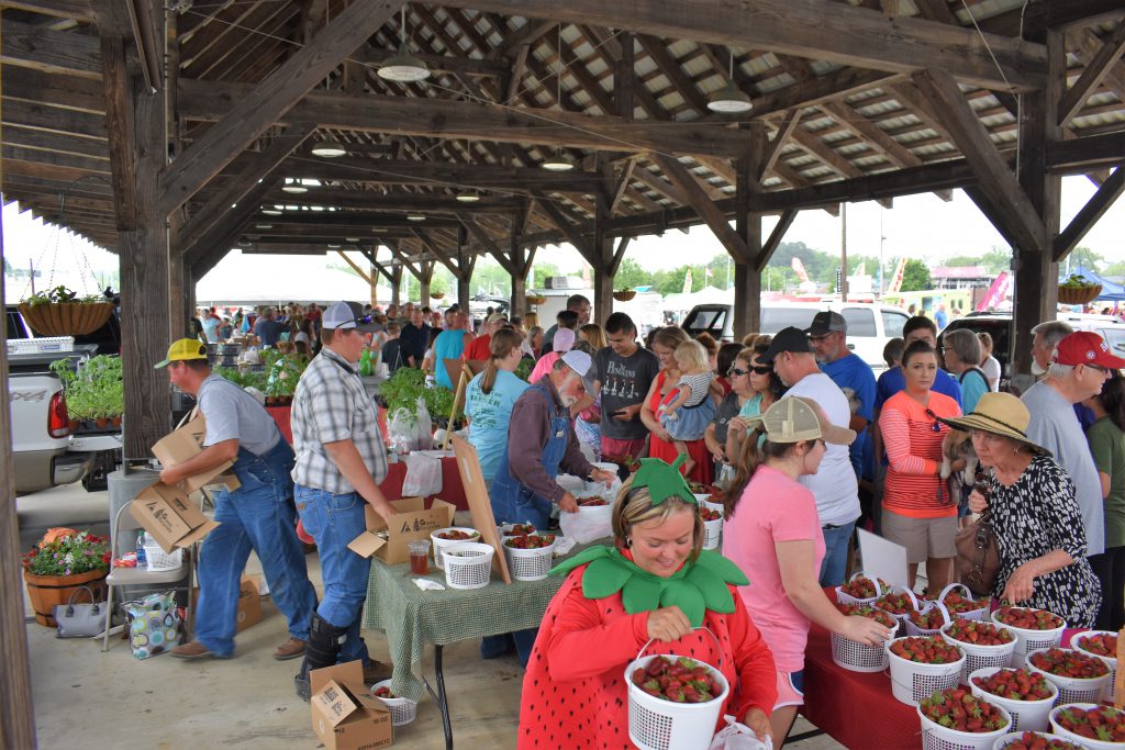 Bigger and better than ever Strawberry Festival 2018 The Cullman Tribune