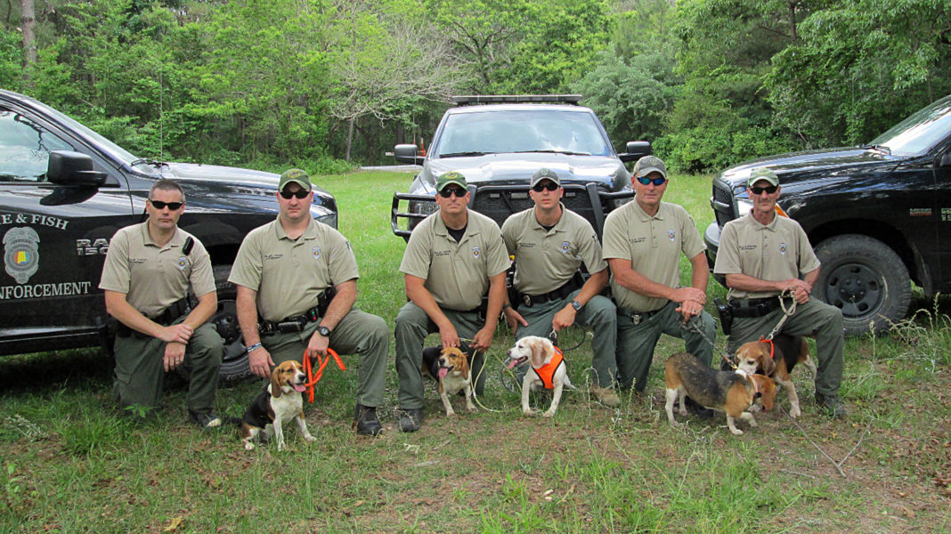 WFF Enforcement K9 Unit a different breed - The Cullman Tribune