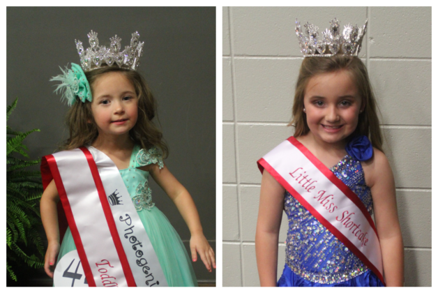 Photos Strawberry Festival Pageant Winners The Cullman Tribune 