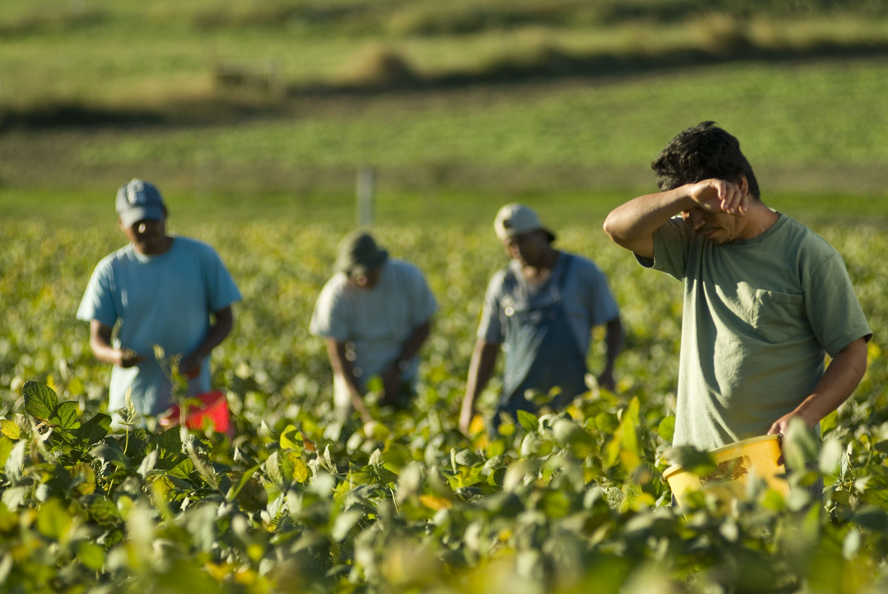 Human Trafficking Awareness Month What Is Labor Trafficking The 