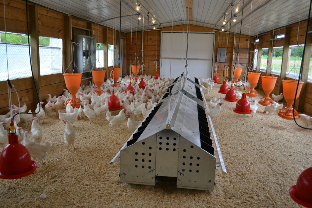 Foundry Farm benefits from new hen house | The Cullman Tribune