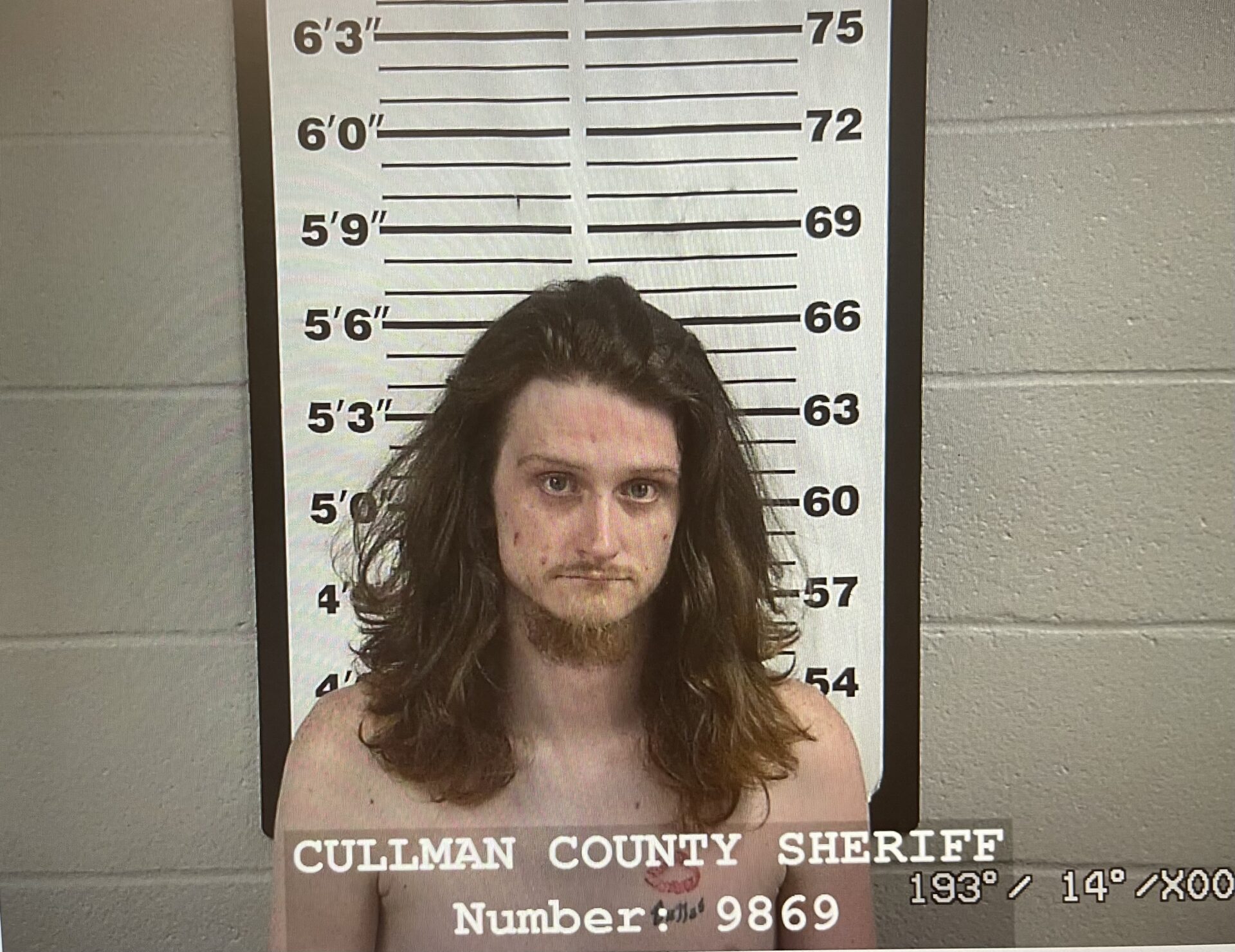 CCSO kept busy with multiple arrests over past week - The Cullman Tribune