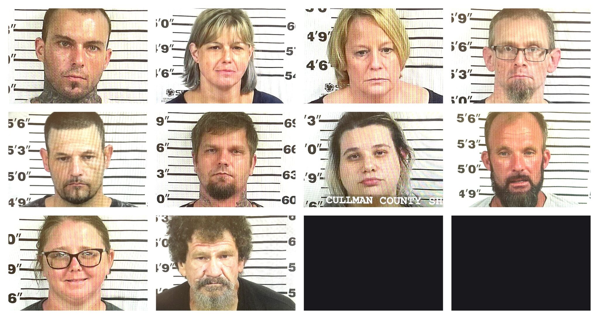 CCSO arrest roundup The Cullman Tribune