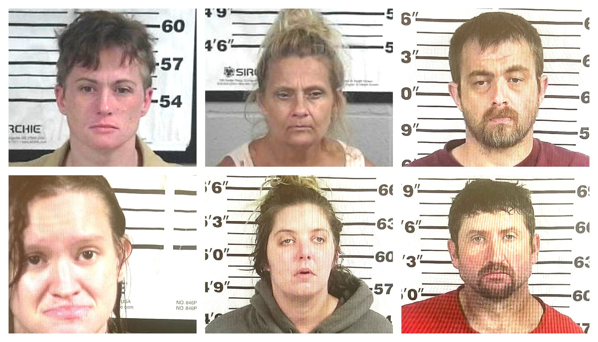 CCSO Arrest Roundup - The Cullman Tribune