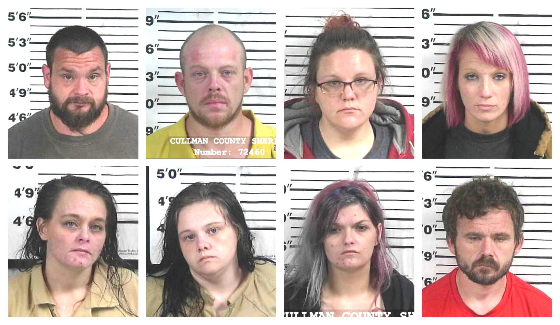 CCSO arrest roundup The Cullman Tribune