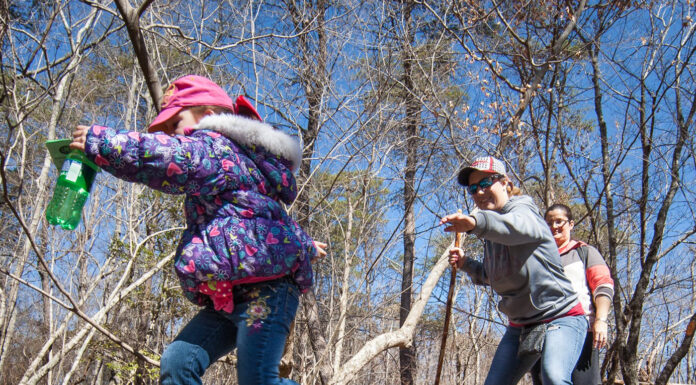 Outdoors Archives - The Cullman Tribune